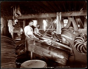 Belső nézet két férfiról, akik bőrrel és nehéz felszerelésekkel dolgoznak a New York-i Leather Belting Co.-nál, New York, 1905 (ezüst zselatin nyomat)